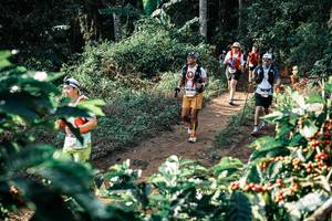 BIB: 
                            <button type="button" onclick="openModal(25853392)" class="btn btn-primary btn-sm float-right btn-popup" data-toggle="modal" data-target=".modal-high-quality">
                        <i class="fas fa-shopping-cart"></i> Add to Cart
                    </button>
                                            <button type="button" onclick="isThisMe(25853392, true)" class="btn btn-success btn-sm float-right btn-popup btn-isme hidden" data-toggle="tooltip" data-placement="bottom" title="นี่คือรูปของคุณใช่ไหม คลิกที่นี่เพื่อเอาเข้าอัลบั้ม">
                        <i class="fas fa-plus"></i> Add to album
                    </button>
                    <button type="button" onclick="isThisMe(25853392, false)" class="btn btn-warning btn-sm float-right btn-popup btn-isnotme hidden">
                        <i class="fas fa-ban"></i> Remove from album
                    </button>